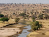 Het Tarangire National Park