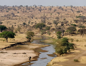 Het Tarangire National Park