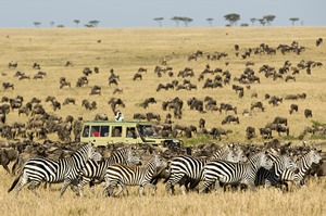 Safari in de Serengeti