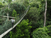 Canopy Walkway