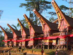 De kenmerkende Toraja-huizen